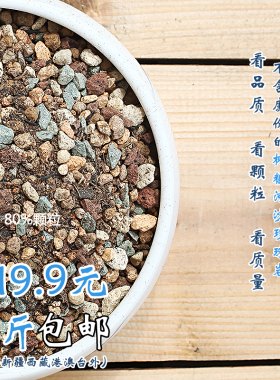 多肉老庄土 营养颗粒土专用土铺面介质品氏泥炭13合一土5斤包邮