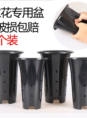 兰花专用盆 塑料兰花盆加厚加高PP塑料兰花花盆透气排水兰草盆