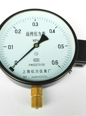 远传压力表 直径150mm 压力006mpa 径向安装 YTZ150 牙m20x15