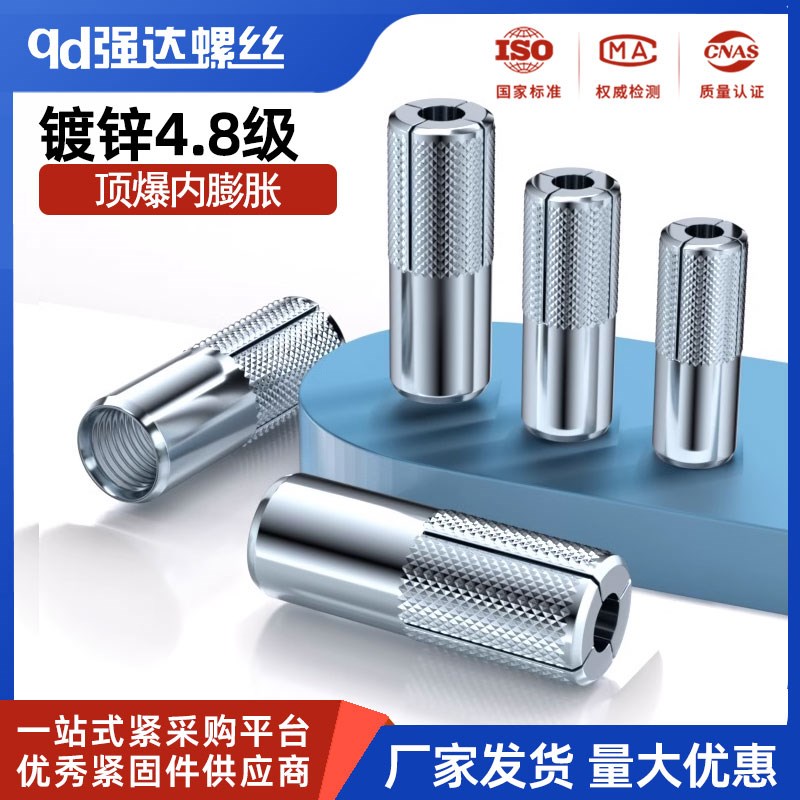 内膨胀管内爆壁虎内螺栓螺丝钉装修膨胀镀锌M6M8M10M12M14M16M20