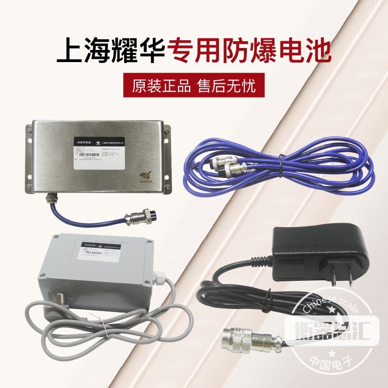 上海耀华XK3190-EX-A8防爆仪表本安型电池本安电源防爆电池充电器