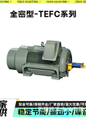 东异元电机全密型-TE33355FWC低压功率步电动机鼠笼式卧大式600k6