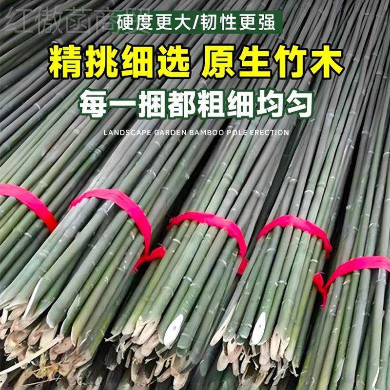 竹竿菜园搭架篱蔬瓜菜黄番茄豆角架杆竹笆栅栏小子竹细竹竿竹竿青,童鞋/婴儿鞋/亲子鞋,量脚器,淘宝优惠券,粉丝福利购,淘宝优惠卷