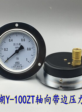 天湖Y100ZT轴向带边压力表背接式气压表真空表01 16 010MPA