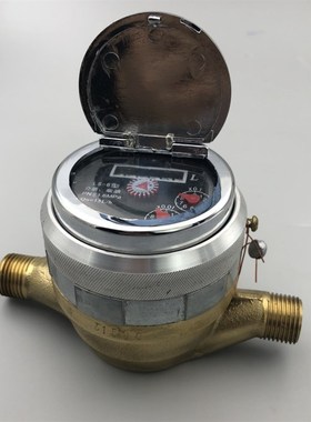 旋转活塞式流量计LS6  8 10 13柴油汽油表小流量自流式4分6分1寸