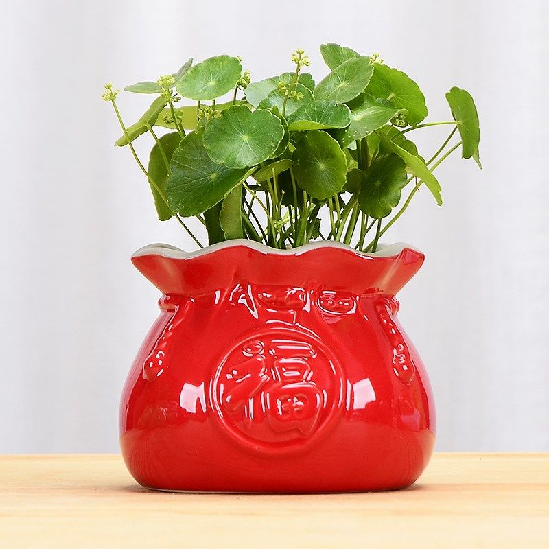 简约现代陶瓷福袋水培花瓶绿萝花盆植物插花瓶客厅桌面摆件器皿,标准件/零部件/工业耗材,输送带/传送带,淘宝优惠券,粉丝福利购,淘宝优惠卷
