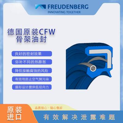 德国原装CF骨架GYD油封BAU磨3SLX2寸55尺*100*10耐油耐密封W圈现