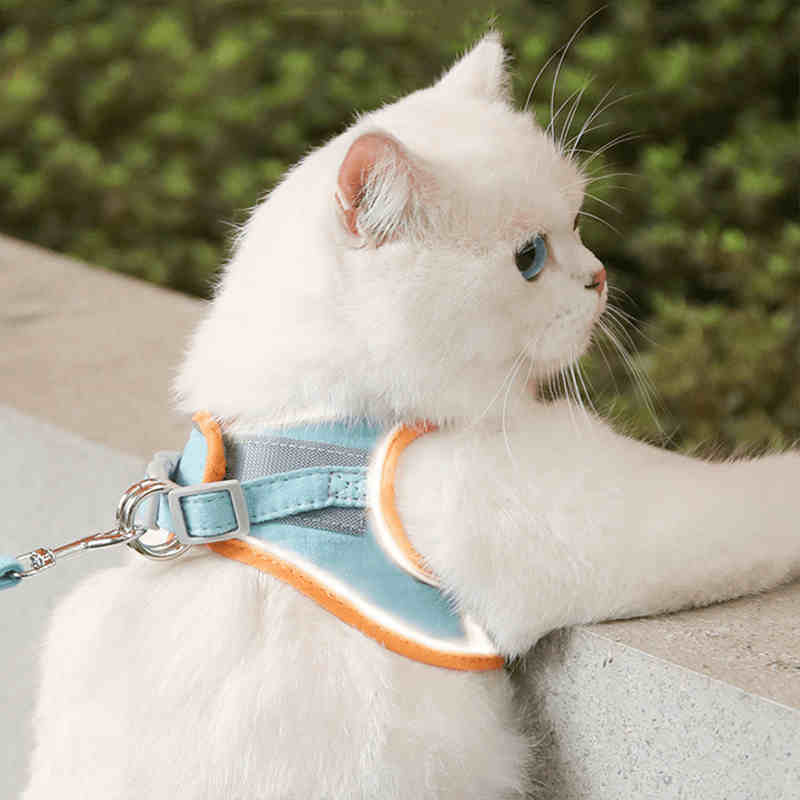 猫咪牵引绳背心式胸背带防挣脱溜猫绳子栓猫链子宠物专用外出用品