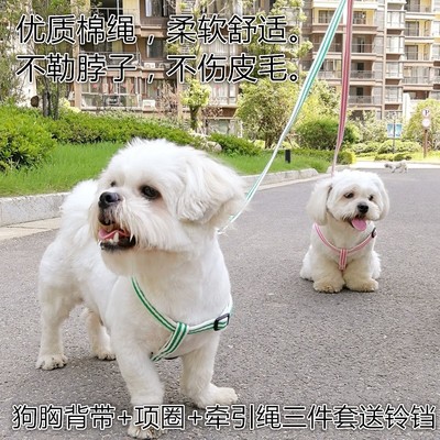 狗狗牵引绳胸背带泰迪金毛萨摩耶狗链子小型中型犬狗绳子宠物用品