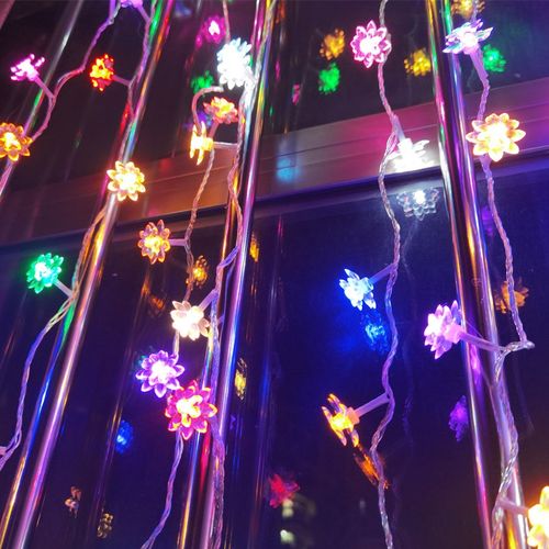 LED小彩灯闪灯串灯满天星房间卧室网红双层荷花挂饰灯荷花灯包邮
