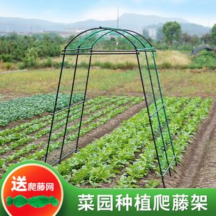 种菜支架花盆园艺葡萄架子室外盆栽庭院支撑柱户外攀爬架南瓜架子