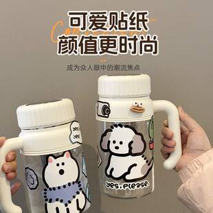 新品大容量喝水杯子女带手柄水杯耐高温泡茶杯高硼硅玻璃杯定制