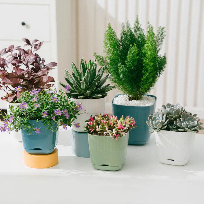 小花盆塑料树脂花盆小方盆多肉仙人球长寿花发财树花草专用带托盘