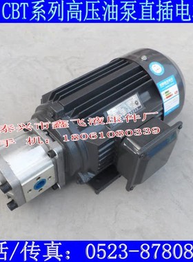 CBN-G310剪板机泵CBJ-E310FEL2齿轮油泵CBT-F310液压泵FER2 E310