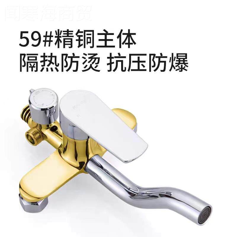 淋浴花龙洒套装精铜头淋浴器带降浴室全铜淋家雨用冷热AMT龙升头