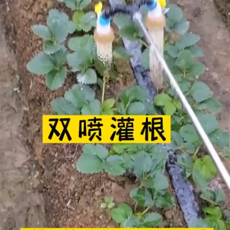浇水神器大棚喷头农用灌溉浇菜电动喷雾器洒水塑料大流量园艺育苗