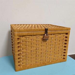 带锁收纳箱密码学生宿舍零食书信衣服化妆品桌面收纳盒大容量箱子