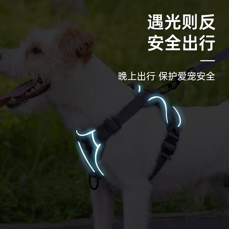 狗狗牵引绳小型犬泰迪比熊外出反光胸背带宠物狗链子可伸缩遛狗绳
