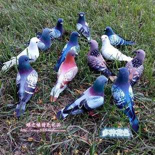 仿真小鸽子灰鸽子野鸽子广场鸽斑鸠道具摄影园林配饰鸽子小鸟模型