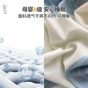 床笠单件防尘床罩床单罩床垫套席梦思床垫保护罩四季 2024新款 通用