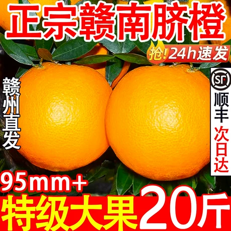 正宗江西赣南脐橙9斤大果新鲜橙子赣州寻乌脐橙甜橙果冻鲜橙批发