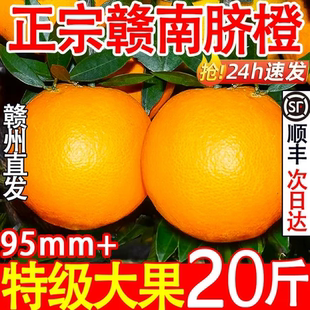 正宗江西赣南脐橙9斤大果新鲜橙子赣州寻乌脐橙甜橙果冻鲜橙批发