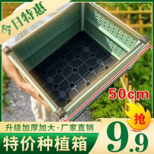 楼顶种菜专用箱泡沫塑料花盆家用阳台种菜盆室内蔬菜种植箱大花箱