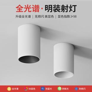 筒灯led长桶家用防眩射灯免开孔天花吸顶式 明装 北欧cob卧室过道灯
