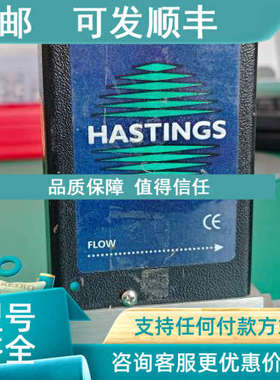 议价HFC-202TELEDYNE HASTING流量计N21000sccm