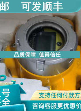 议价5200260-02A 3001B2337  Salwico GD ATEX) 气体探测器