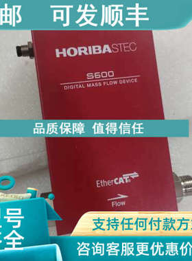 议价HORIBA流量计 S600-BR527S AIDN2 20SLM氮气介质流量计