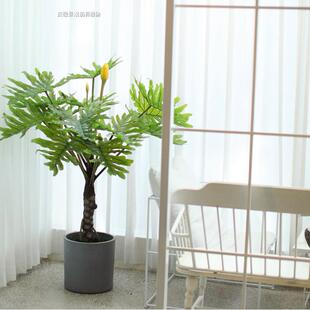 仿真树仿真植物喜林芋福禄桐玫瑰树发财树办公用装饰用