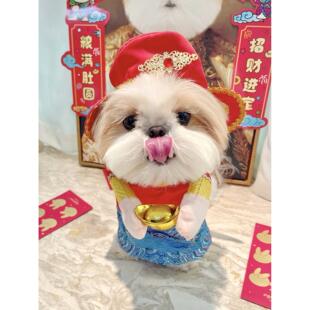 狮子狗滑稽的新年节日财神装扮马尔济斯泰迪比熊狗新年滑稽的服装