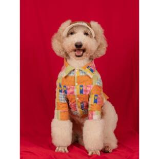 可爱大型犬衣服狗狗衬衫外套秋冬拉布拉多金毛边牧萨摩巨贵衣服潮