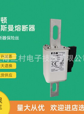 全新原装快速熔断器保险丝170M3715 170M3716 170M3717 170M3718