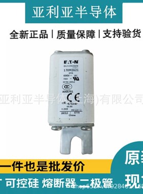 现货170M2620 170M2621 高压直流熔断器 电流保护装置 电子元器件