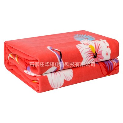 电热毯单双人电热毯双控调温家用电毛毯电褥子