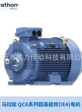 marathon电机/马拉松电机/marathon Motors  HJN132M-4  7.5KW