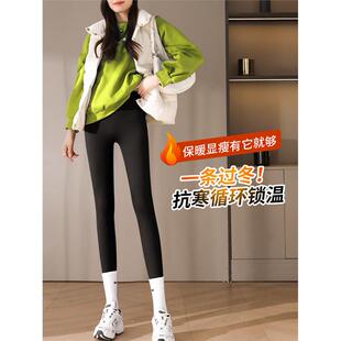 鳄梨加厚鲨鱼裤女性秋冬保暖外穿保湿加天鹅绒2024新高腰修身打底