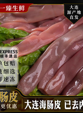 大连特产海肠子海肠皮