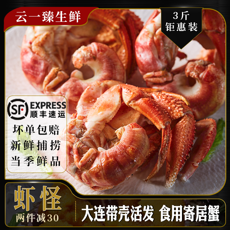 虾怪鲜活非即食寄居蟹食用新鲜带壳大连超大海怪腿钳麻辣海鲜水产