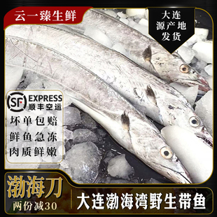 大连渤海刀鱼新鲜带鱼冷冻整条白眼野生带鱼秋刀鱼鲜冻带鱼带鱼