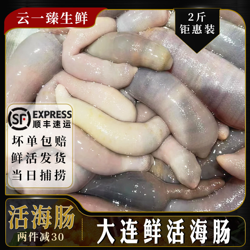 大连特产鲜活海肠2斤新鲜厚皮海肠皮海捕沙虫海鲜烧烤捞饭水饺