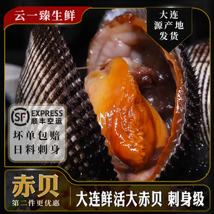 大连海鲜超大鲜活赤贝新鲜毛蚶血蛤蜊赤贝肉日料刺身即食3斤装