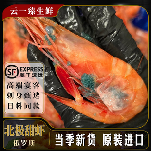 甜虾刺身俄罗斯冰山蓝盒甜虾冰冻虾北极甜虾生吃即食刺身海鲜