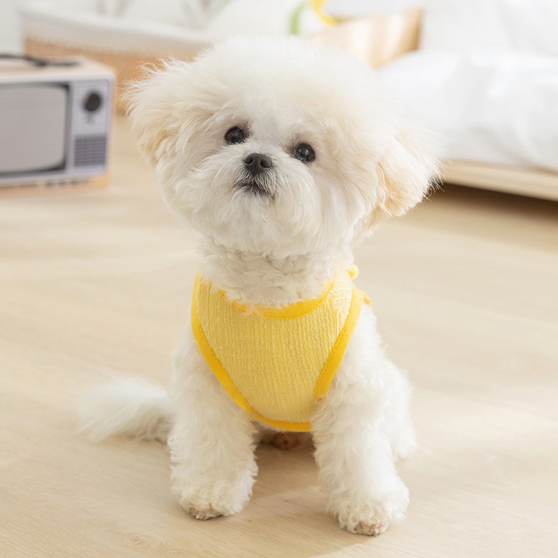 立体小鸡牵引小狗狗衣服夏季薄款比熊泰迪博美宠物猫咪小型犬背心