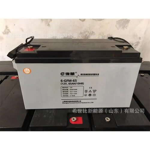 复华蓄电池MF-80UPS/EPS电源柜配套电池12V80AH风能发电系统
