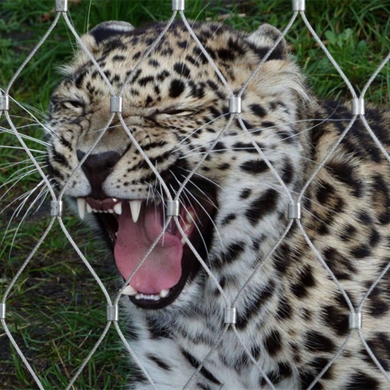 金属不锈钢绳网楼梯扶手防护网天井防坠酒店装饰网高层防抛防坠网