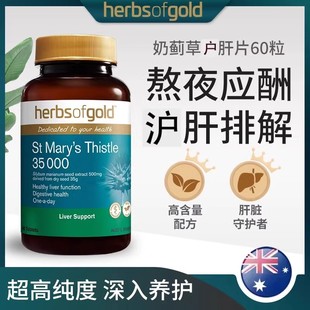 和丽康herbsofgold奶蓟草护肝片60粒肝脏熬夜解酒加班养护肝脏