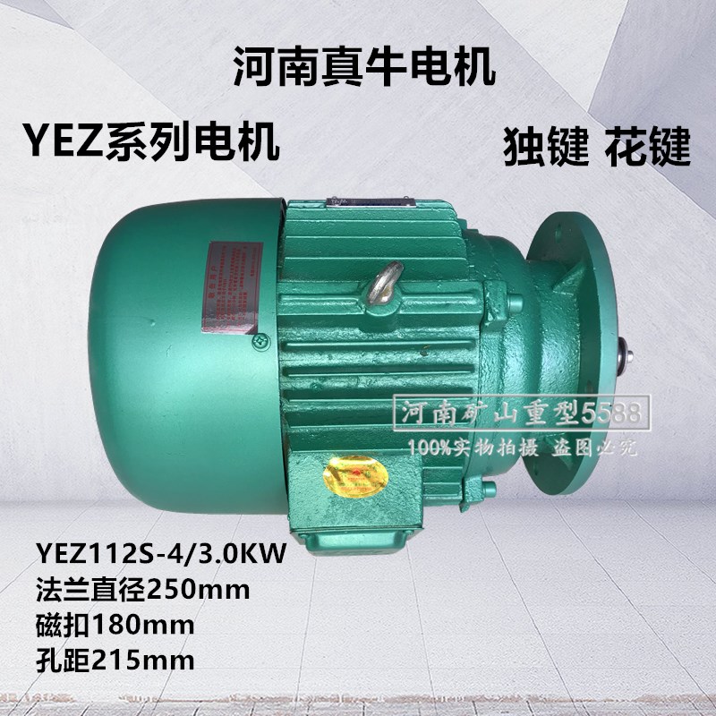 河南真牛锥形转子三相异步电动机YEZ112S4/30KW摆线针减速机用